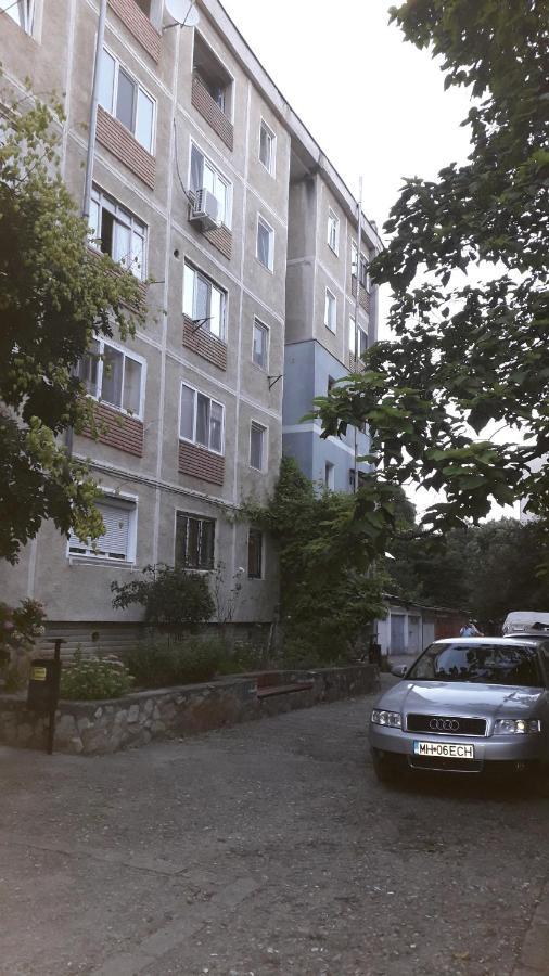 Garsoniera Simo Appartamento Orşova Esterno foto